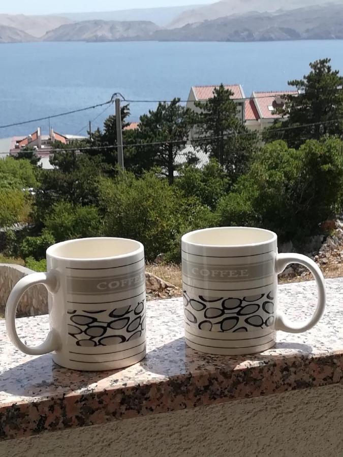 Apartment Villa Bijele Stijene カルロバッグ エクステリア 写真